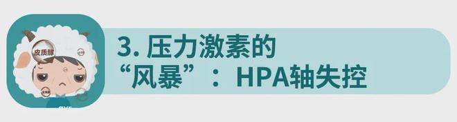 _心理(lǐ)治療_心理(lǐ)治療師(shī)_精神心理(lǐ)