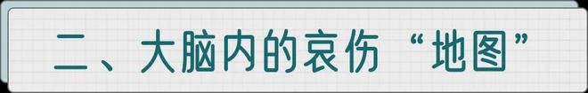 心理(lǐ)治療_心理(lǐ)治療師(shī)_精神心理(lǐ)