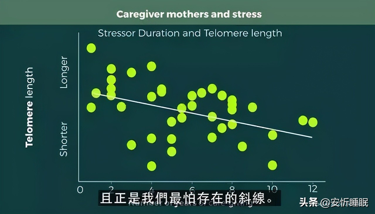 心理(lǐ)醫生(shēng)_心理(lǐ)治療_心理(lǐ)治療師(shī)